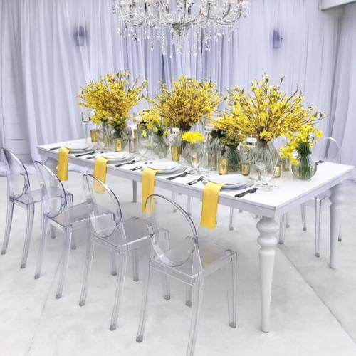 JYCC055 | Clear Ghost Chair JYCC055 | Clear Ghost Chair